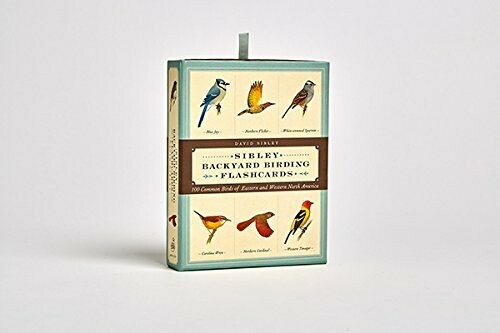 Sibley Backyard Birds Flashcards