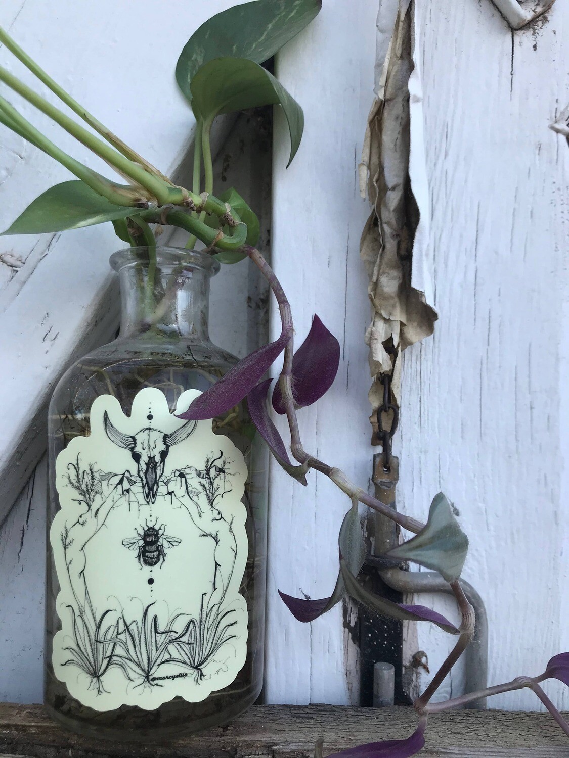 Sisters of the West Sticker