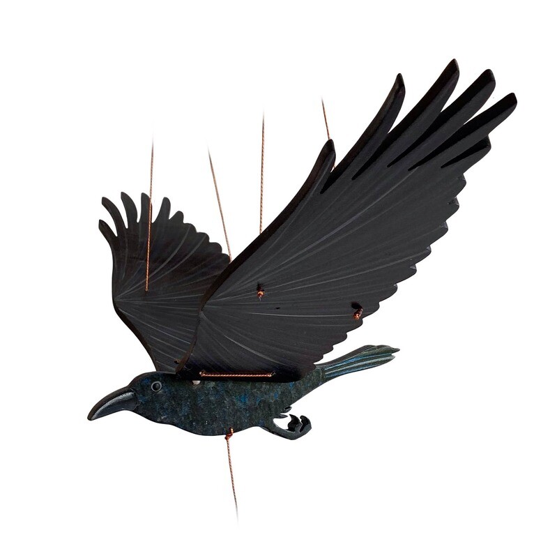 Raven Flying Mobile