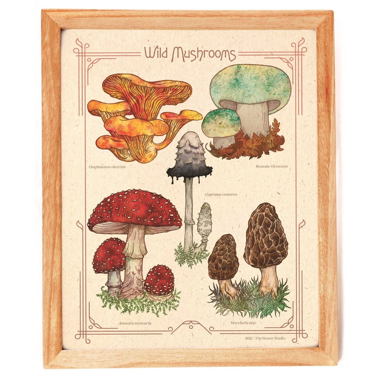 Wild Mushrooms Print