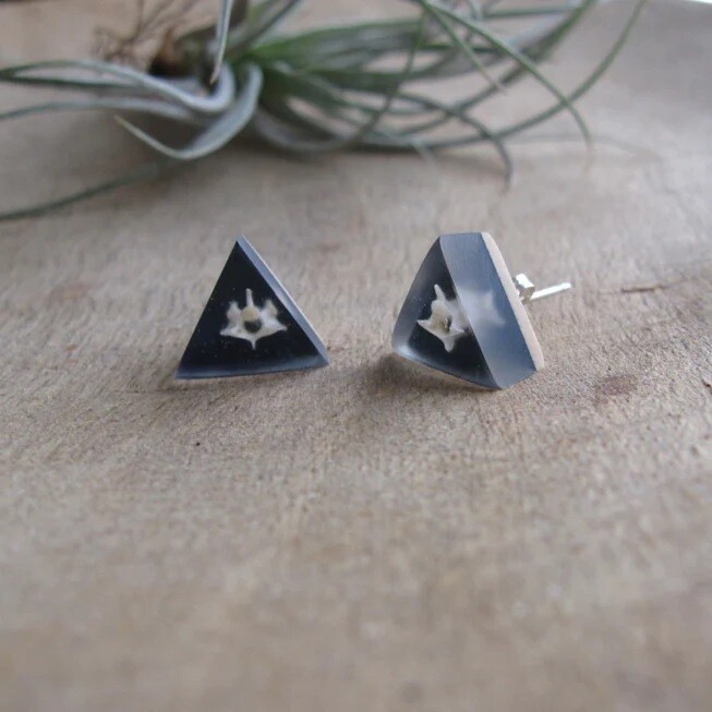 Vertebrae Earrings