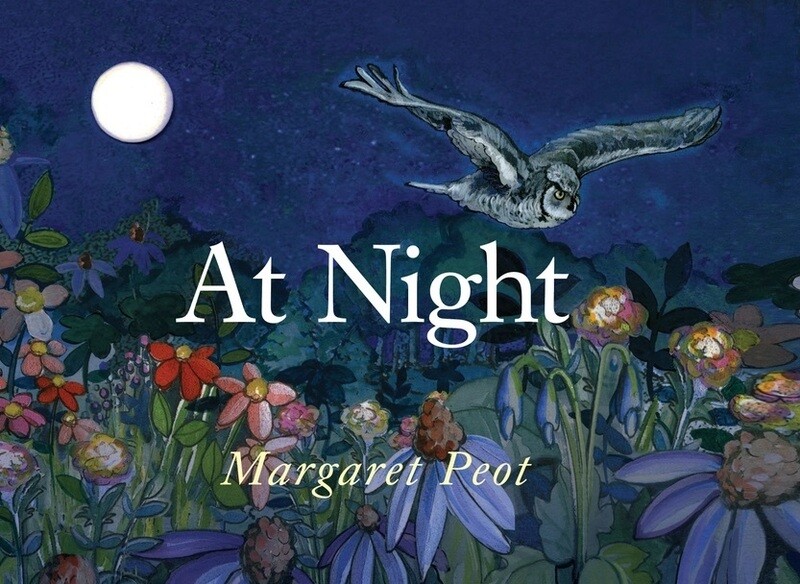 At Night Book