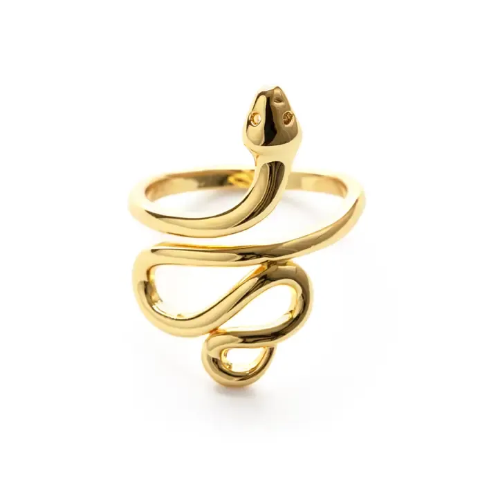 Serpent Brass Ring