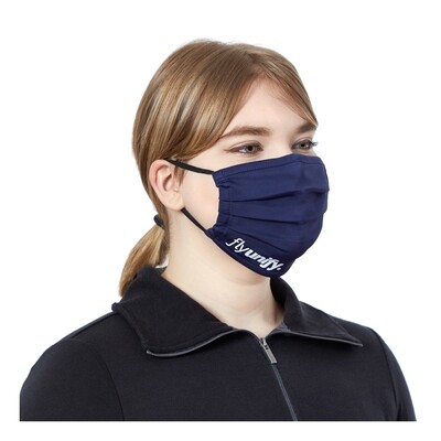 Pleated Eco Mask