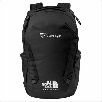THE NORTH FACE® STALWART BACKPACK
