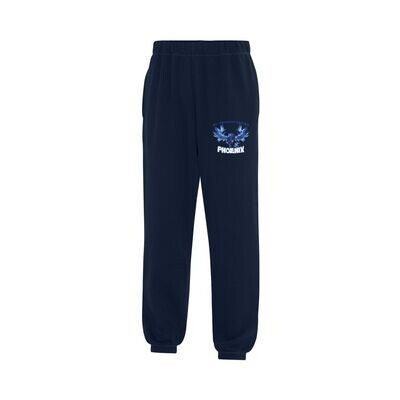 Navy Sweatpants