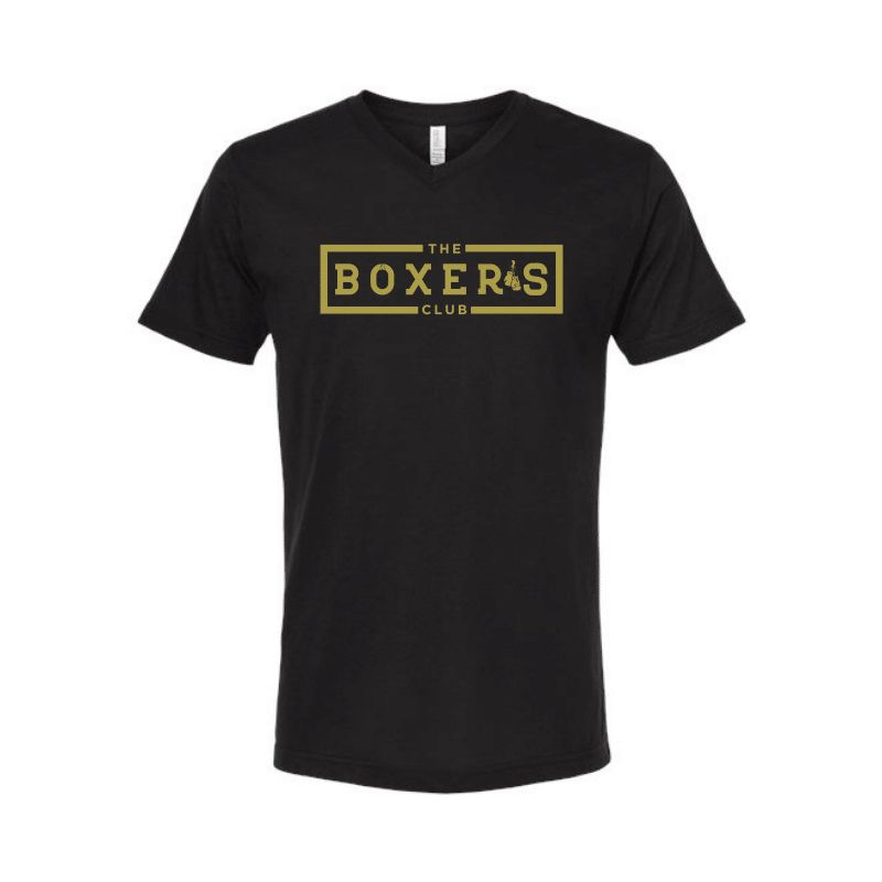 Men's V neck t shirt