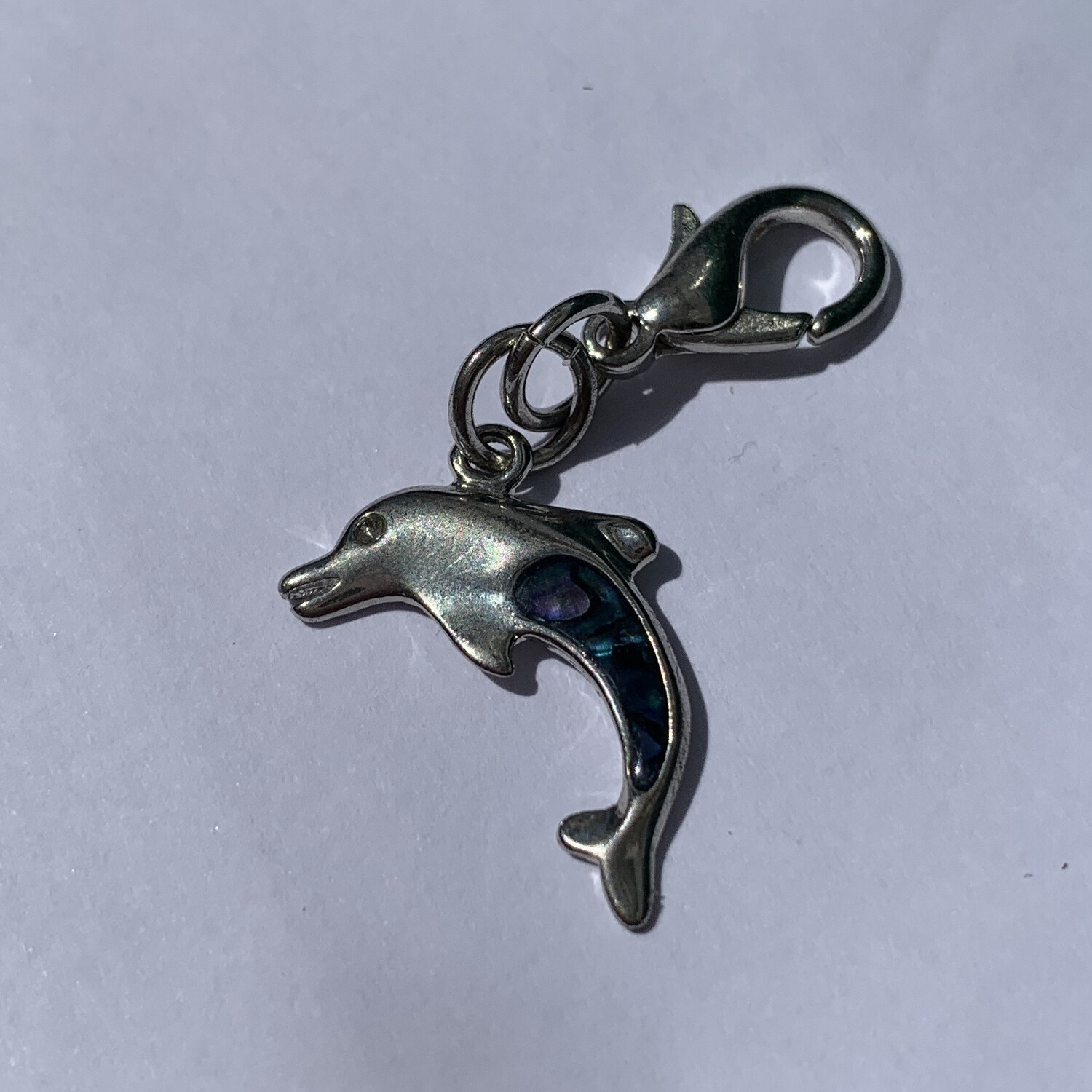 Paua Shell Keychain Tag - Dolphin