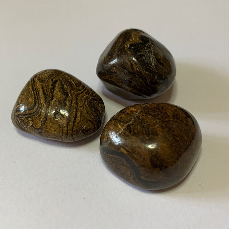 Stromatolite