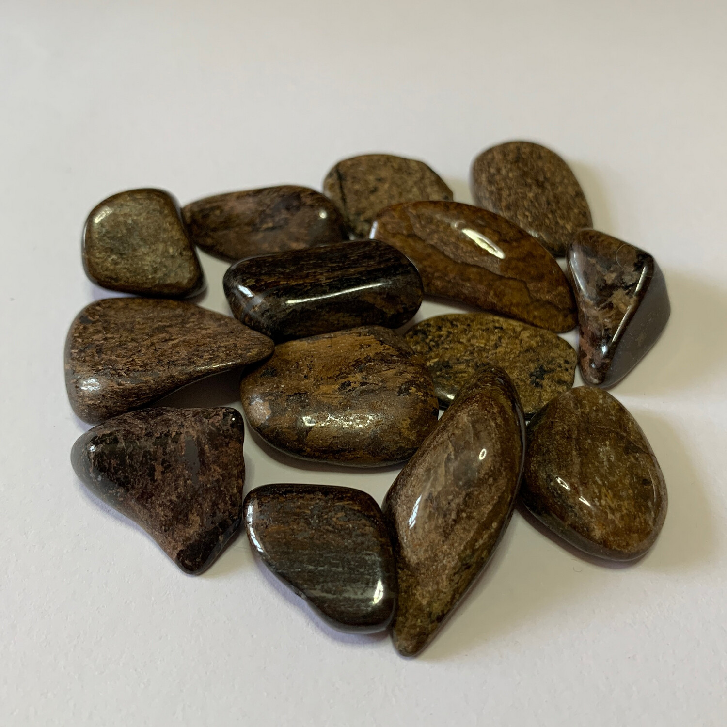 Bronzite