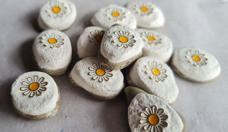 Mini Steine , Gänseblümchen