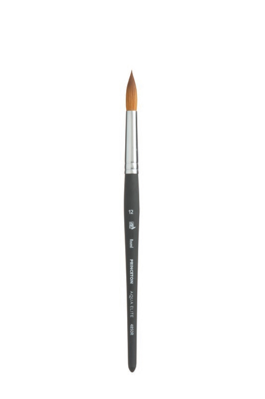 Princeton Aqua Elite R6