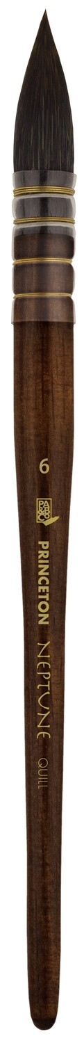 Princeton Neptune Quill 8