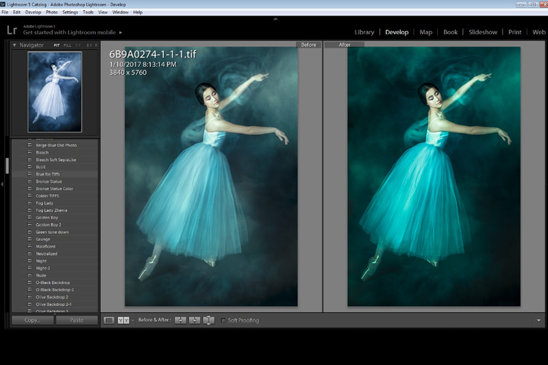LIGHTROOM Presets: Collection 1
