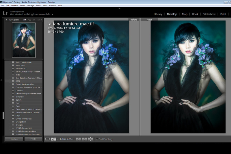 LIGHTROOM Presets: Collection 2