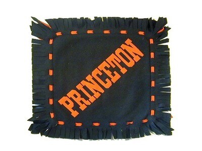 1910’s Princeton University Felt Pillow Cover with Leather University Crest