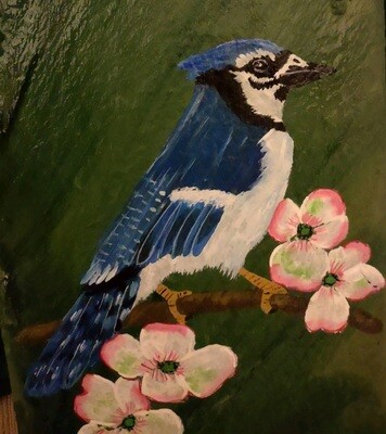 Painted Slate*Blue Jay*March 13th*1pm