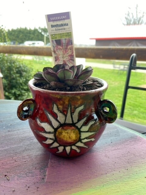 Raku Glazing* Succulent Hanging Flower Pot*May 15th*2pm