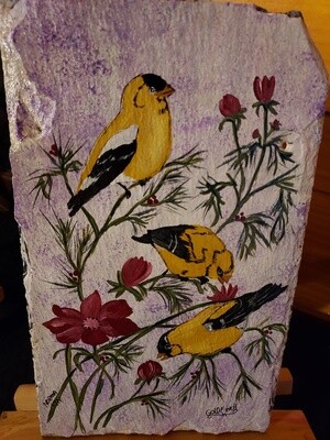 Painted Slate *Yellow Finches *July 16th*1pm