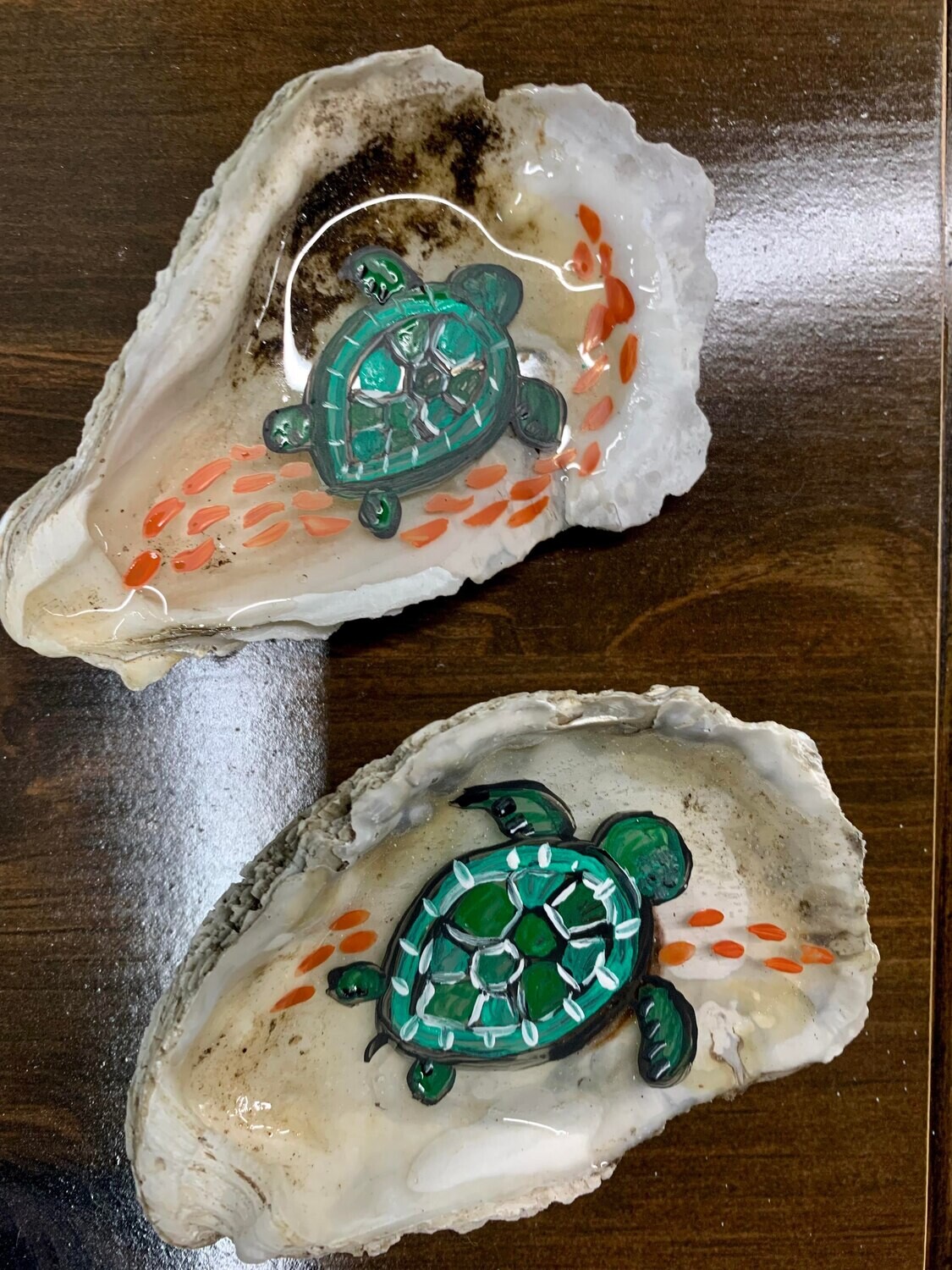 Painted Sea Turtles On Shell*Aug.21st2pm