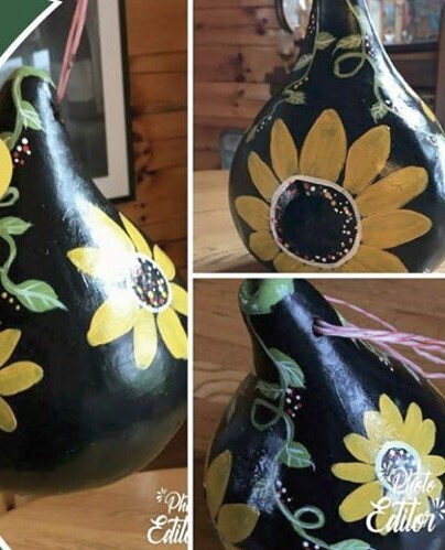Painted gourd*Sunflower*May 6th*1pm