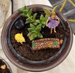Create Your Own Fairy Garden*June 3rd*12pm