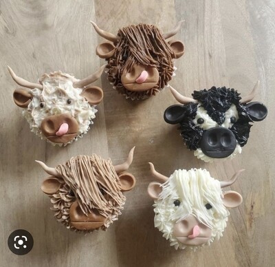 Cow Themed Cupcakes*July 15th*12pm