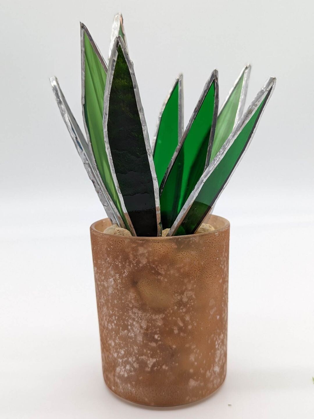 Stained Glass Snake Plant * July15th @ 12pm