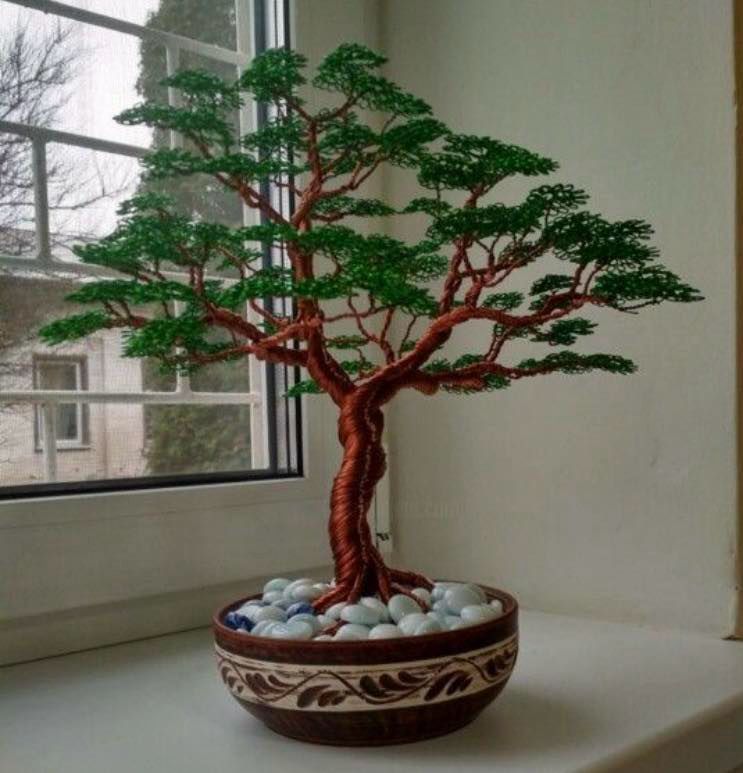Twisted Wire Workshop*Chinese Elm Bonsai*July 6th*12pm
