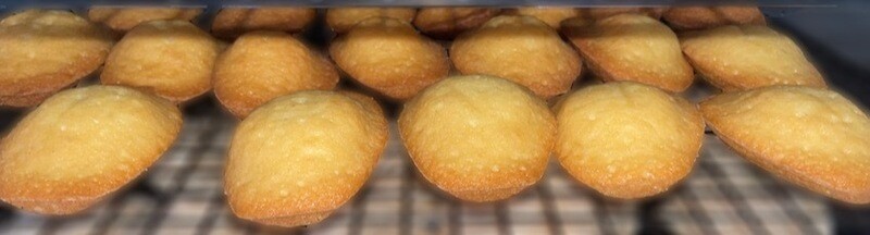 Madeleines (10)