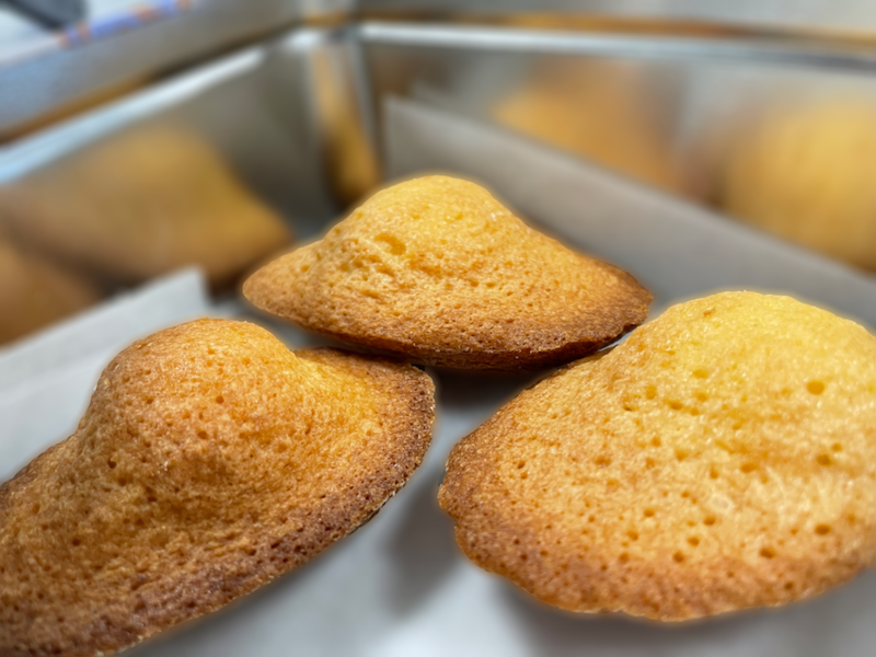 Madeleines (10)