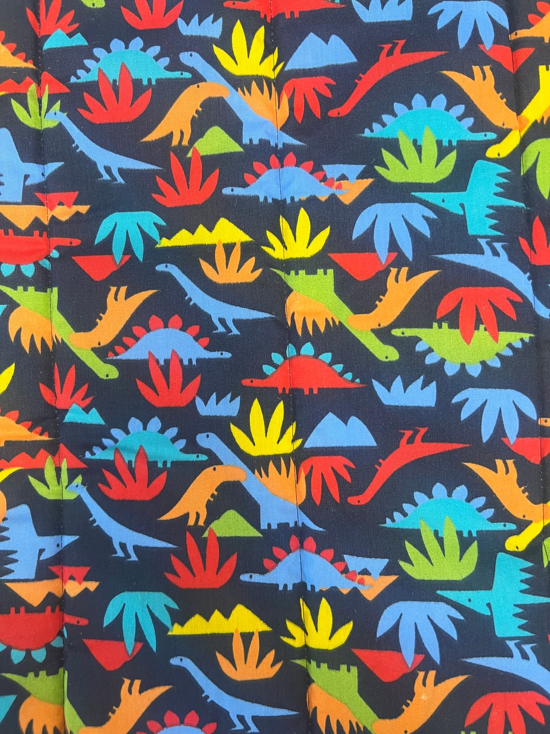 Dinosaur Fun Orange Nap Mat