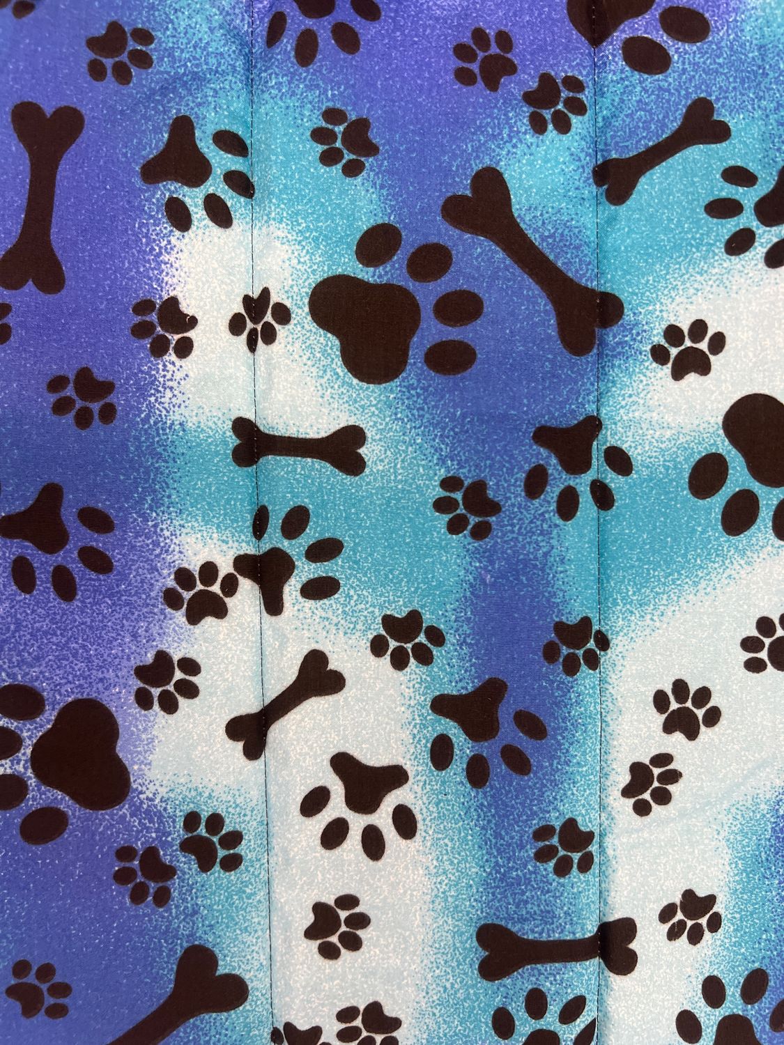 Paw Print Blue Nap Mat