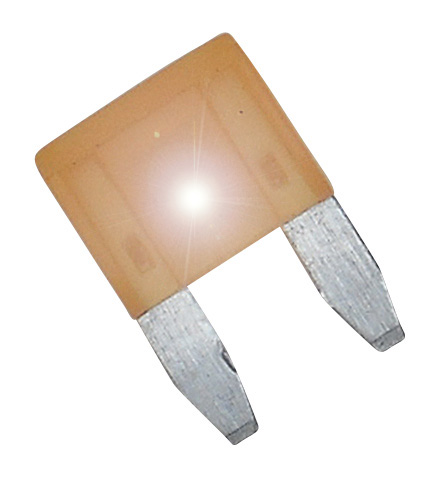 ASP Mini Blade Series - 5 Amp Fuse