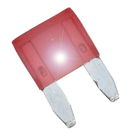 ASP Mini Blade Series - 10 Amp Fuse