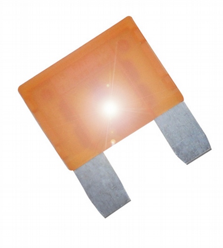AMP Maxi Blade Series - 70 Amp Fuse