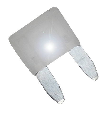 ASP Mini Blade Series - 25 amp Fuse