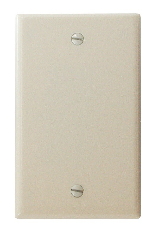 Blank Wall Plate - Ivory