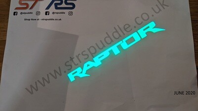 GREEN "RAPTOR" Logo Puddle Light (TYPE 3)