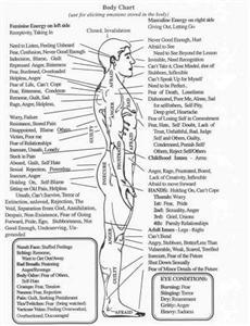 Body Chart - Laminated Body Chart - Laminated