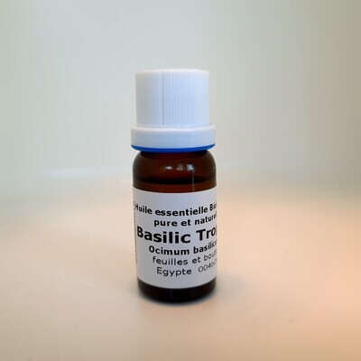 Basilic  
ocimum basilicum L