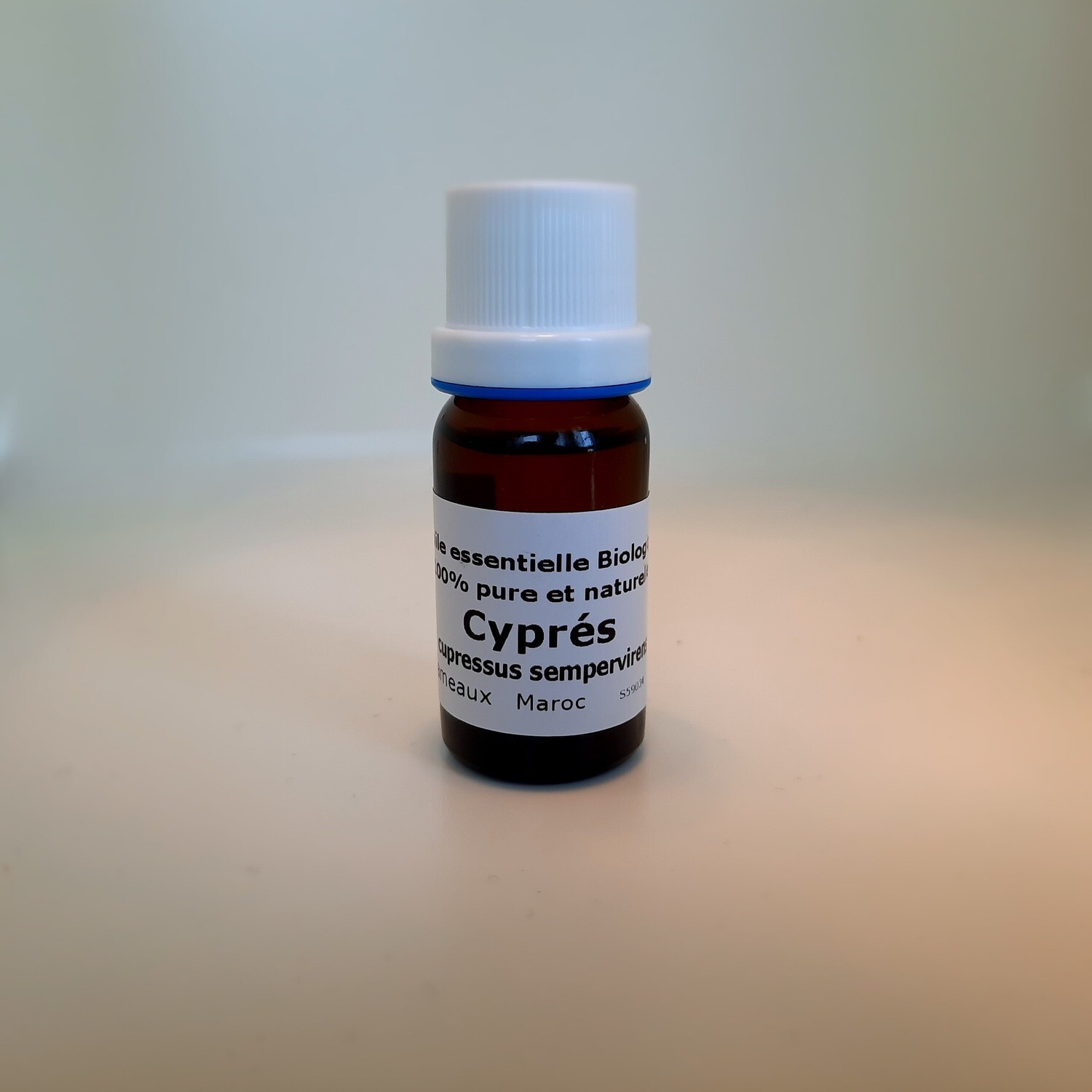 Cyprès   Cupressus sempervirens
