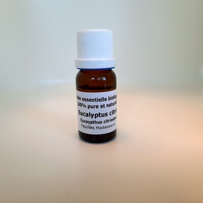 Eucalyptus citriodora