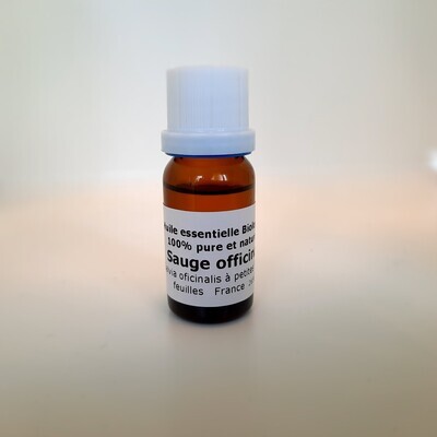 Sauge officinale