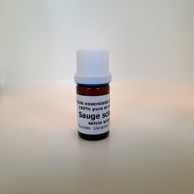 Sauge sclarée