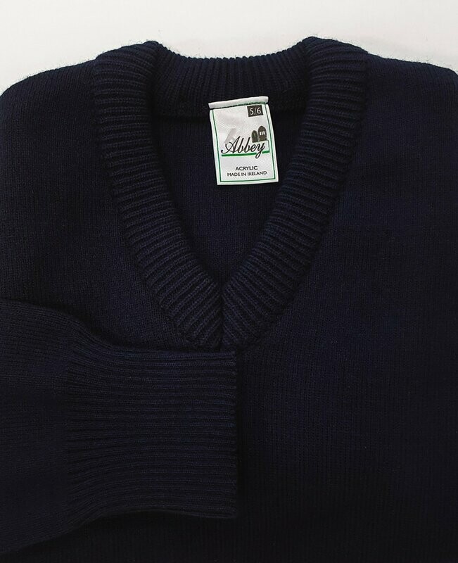 Plain V-Neck School Jumper