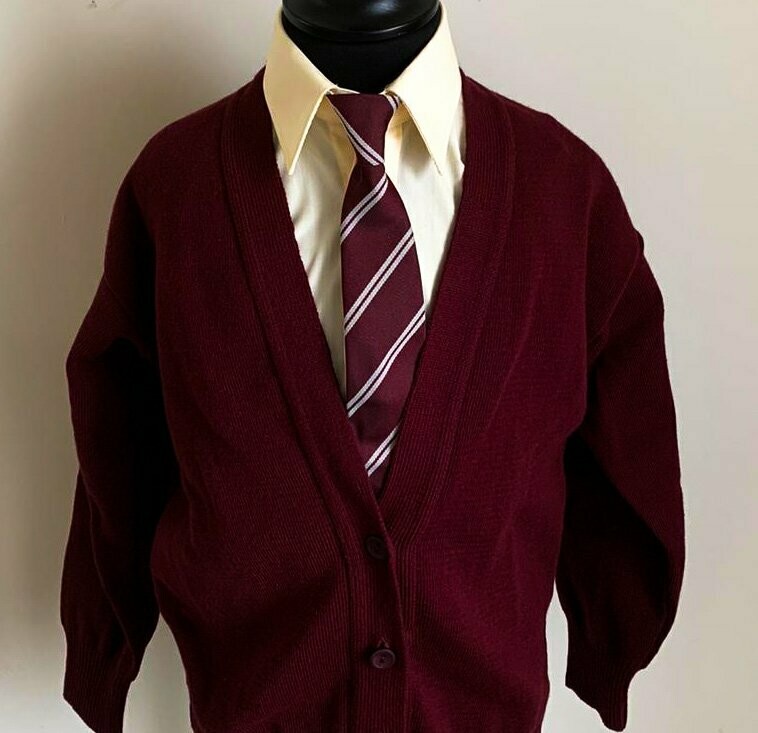 Plain School V-Neck School Cardigan