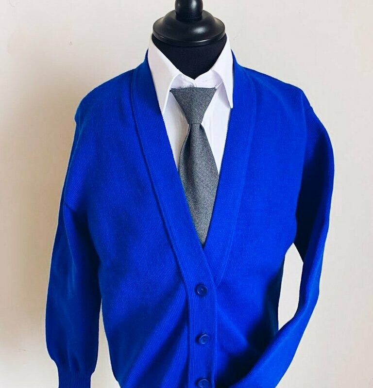 Plain School V-Neck School Cardigan