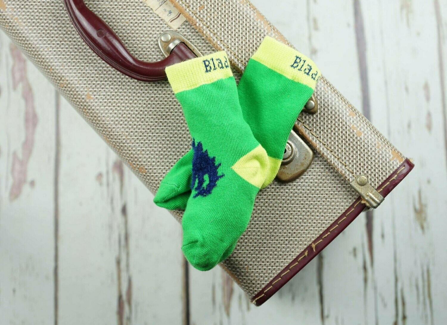 blade and rose stegosaurus