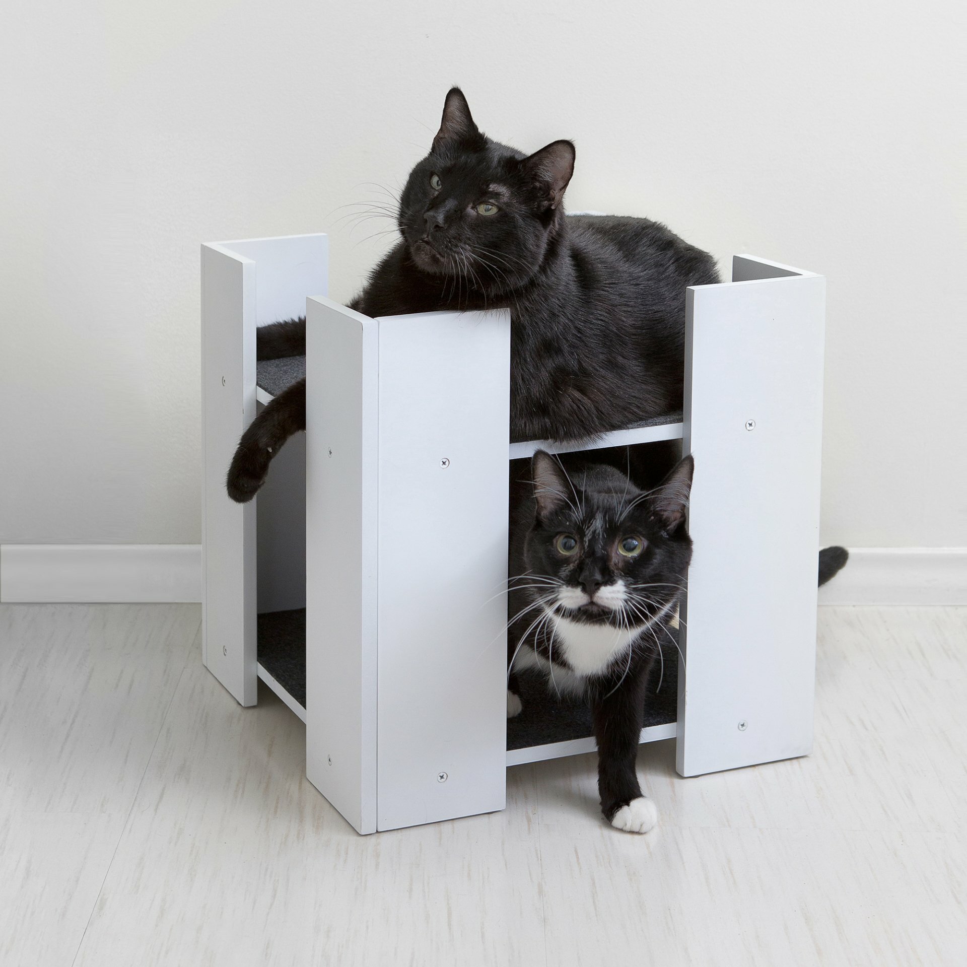 Hauspanther Cubitat Multi-level Cat Bed & Hideaway